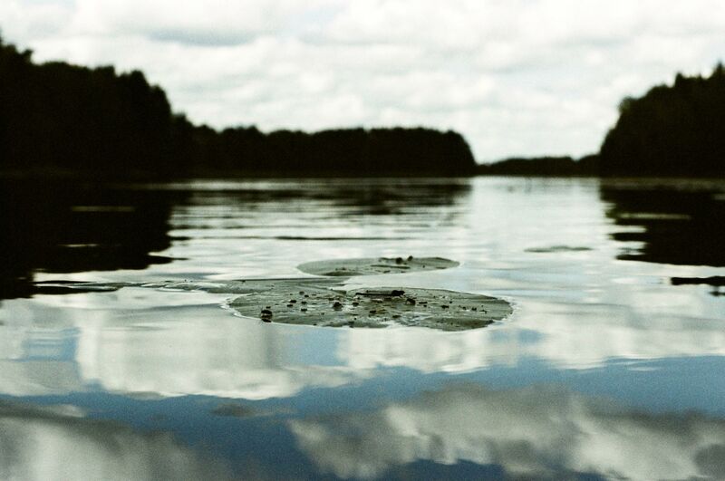 Dragonfly - a Photographic Art by Irina Levental